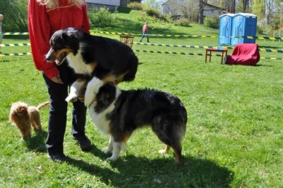 Nessla och Sammy Showar 2011