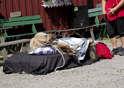 Sömntutan Uffe tog sig en tupplur ;-)