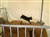DSC01719.JPG